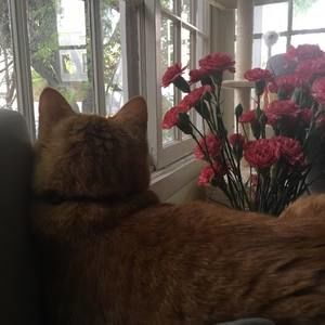 Meet your Posher, Julia